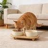 Ceramic Elevated Cat Bowls with Wooden Stand Prevent Tipping Double Bowls Raised Cat Food Bowl for Cats Kitty