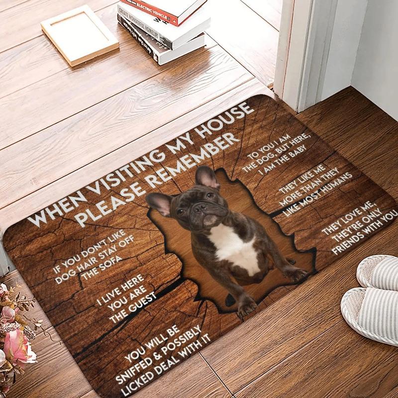 Corgi Themed Funny House Rules Living Room Door Mat Carpet Wood Texture Cute Corgi Pattern Humorous Visitor Notice Home Decor