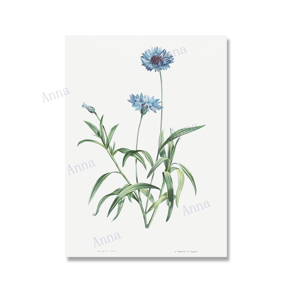 

Ретро цветы Иллюстрация настенное искусство постер ботаническая картина на холсте постер печать настенное искусство картина для декора стены гостиной 21x30cm No Framed