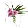 2025+ Butterfly Flower Vase - Clear Acrylic Vases for Flowers, Modern Single Rose Vase Home Decor,Decorative Vases