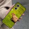 Animal Capybara Case For OPPO Reno 14 10 11 12 13 Pro 11F 12F 13F 14F 7 8 Lite OPPO Find X9 X8 X5 Pro Cover