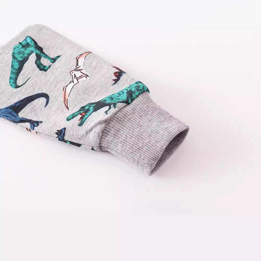 Boys' Cartoon Long Sleeve Knitted Cotton Sweatshirt - New Autumn European & American Style Children's Clothing.