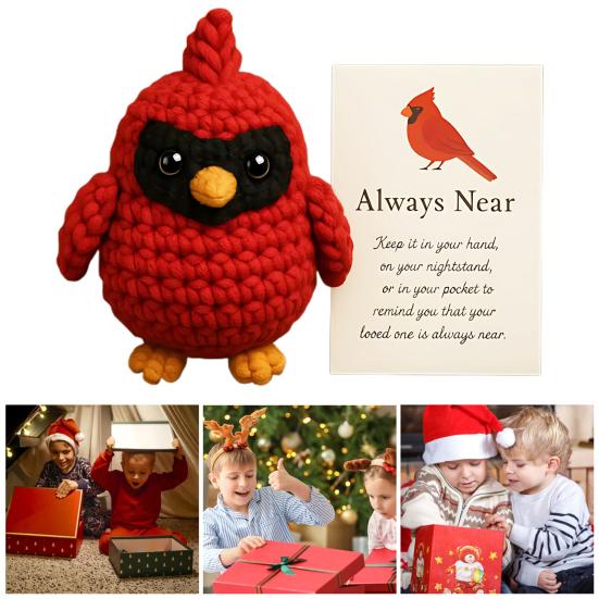 Yousheng Crochet Red Bird Emotional Support Ornament with Inspirational Card Pocket-Sized Hug Companion Positive Bird Gift for Women Loved Ones