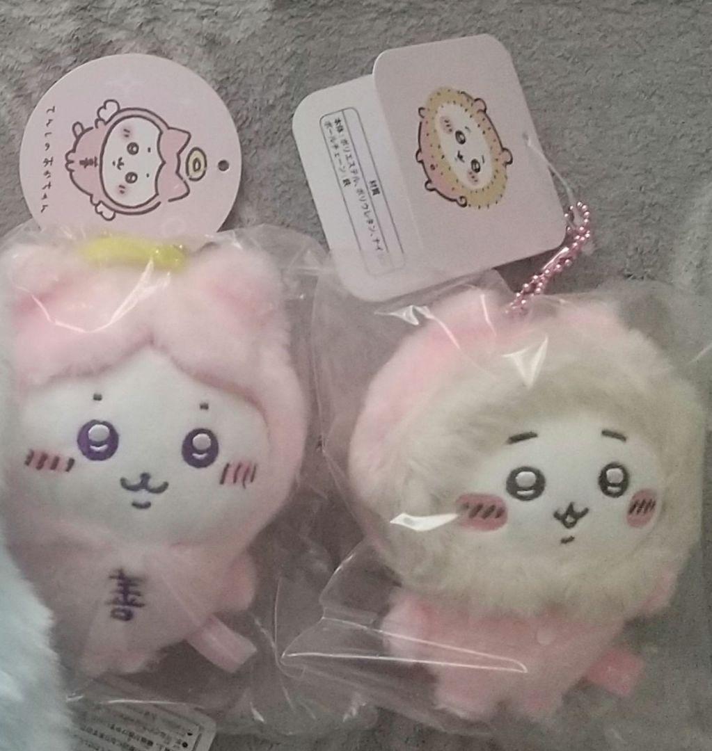 Оптовая продажа Чикавы Хачивары.