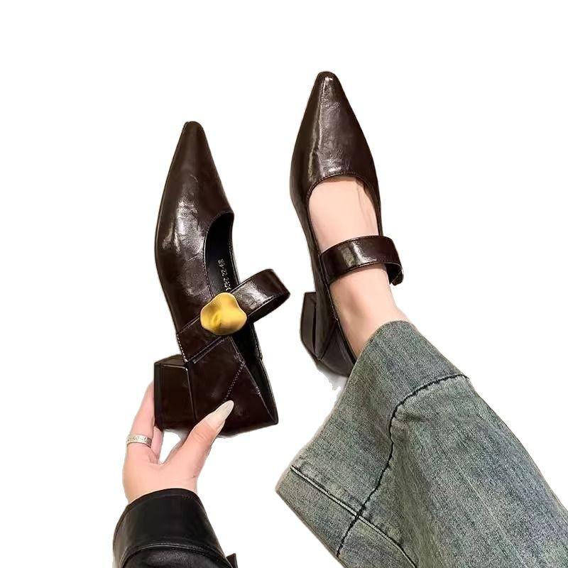 Französische Dameneinzelchuhe mit dickem Absatz, Frühling und Herbst 2025 neu, Metallschließe, spitze Zehenpartie, flacher Ausschnitt, Riemchen im Mary-Jane-Stil