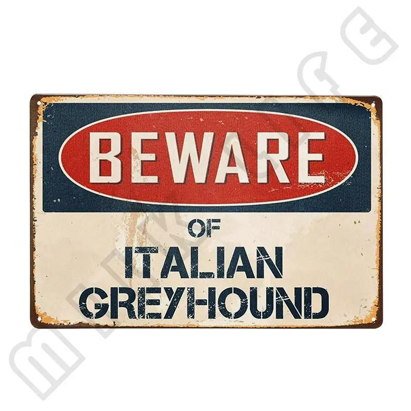 Windhund Metallschild Ich bin dein Freund Ich bin dein Windhund Poster Badezimmerzimmer Küche Garage Zuhause Kunst Wanddekoration