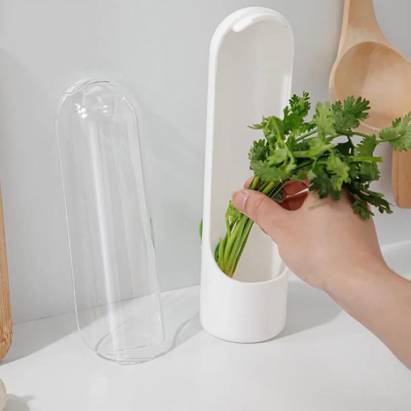 Refrigerator Herb Crisper Vegetables Fresh Preservation Bottle Household Saver Storage Container For Storing Kitchen Supplies
