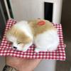Dog Plush Sleep Toy Model Ornament Make Sound Lifelike Simulation Doll Gift