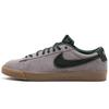 Sb Skateboard Blazer Low Gt Gris 704939-018