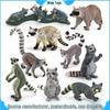 Raccoon & Ring-tailed Lemur Educational Mini Model Toy