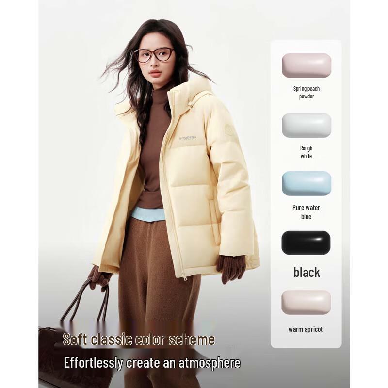 BOSIDENG B250245112XS Short Hooded Loose Goose Down Jacket