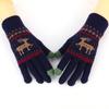 Winter new plush gloves cycling knitted gloves autumn and winter girls cute cold touch screen student warm gloves