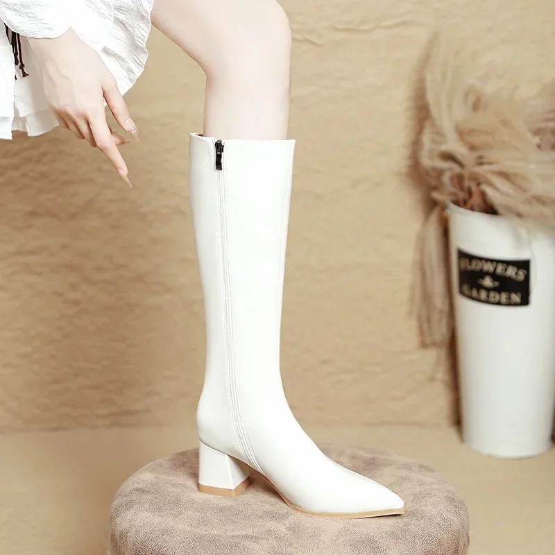 Fashion High Heels But Knee Boots Women's New Autumn and Winter Pointed High Boots Large Size Thick Heel Thin Boots