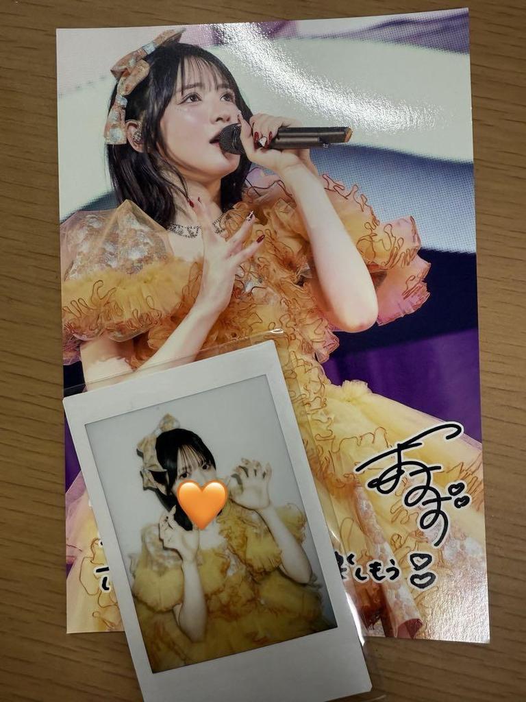 [USED] Fruit Zipper Chinzei Suzuka Instax