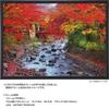 Yanoman [Made In Japan] 500-Piece Jigsaw Puzzle: The Colorful Katsuragawa River At Shuzenji (Shizuoka) (38x53cm) 05-1098, Includes Glue, Spatula,
