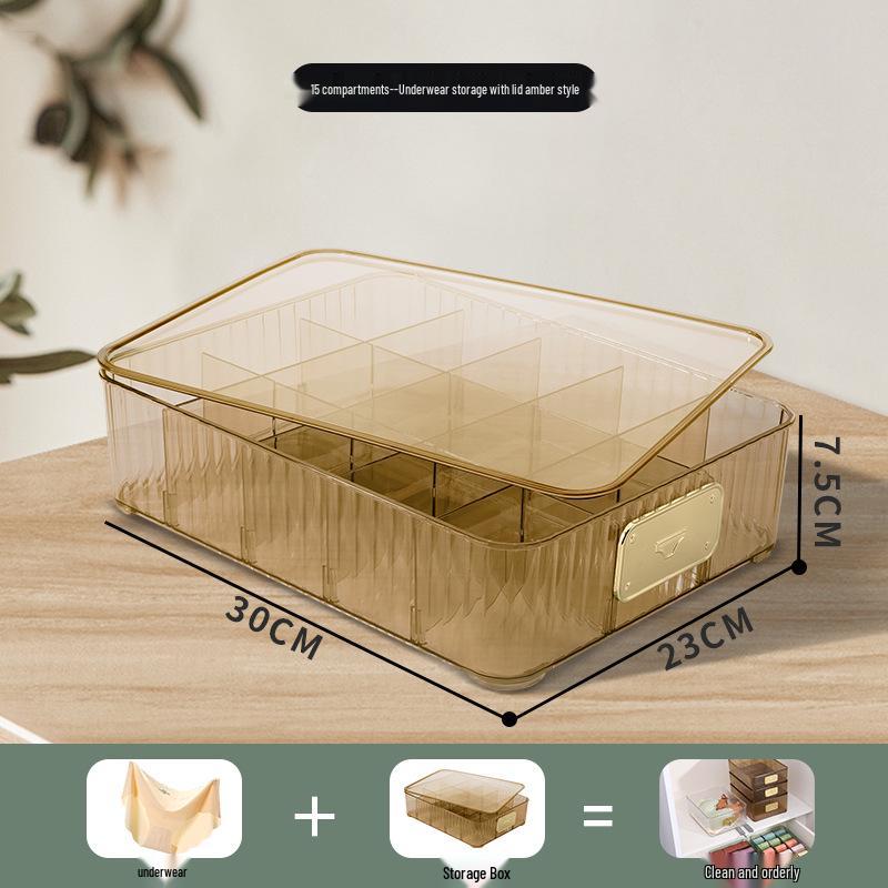 Multifunctional Plastic Underwear Storage Box with Lid – Organizer for Bras, Socks, and Underpants