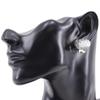 Dior Trotter Earring Silver metallic 10.6g Women Used