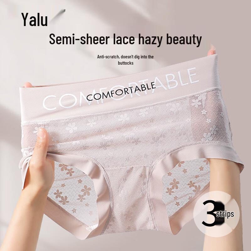 Yalu Women's Lace Mesh Breathable Antibacterial Briefs (3-Pack)