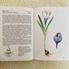 [USED] Foreign books, old books, Czech botanical encyclopedias, bulbous plants, tuberous plants, tulip cover