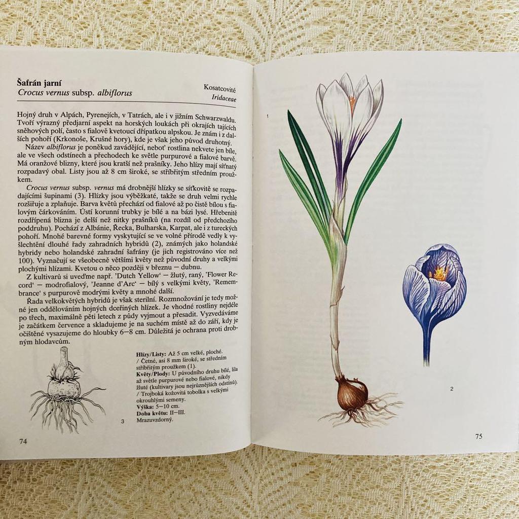 [USED] Foreign books, old books, Czech botanical encyclopedias, bulbous plants, tuberous plants, tulip cover