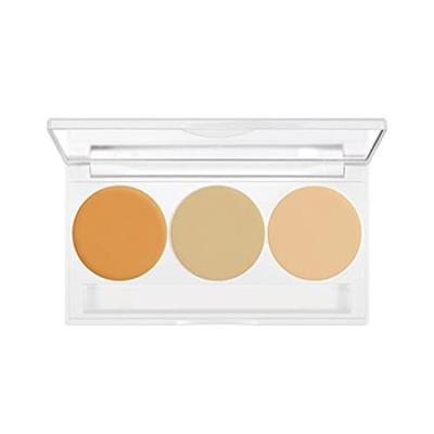 PNSSL Dermacolor Perfect Concealer Palette for Body 10g