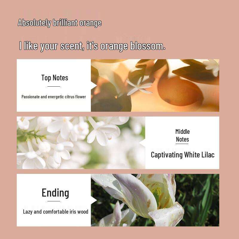 Bottei Tulip Moisturizing Shampoo