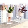 Home Indoor Desktop Mini Transparent Imitation Glass Hydroponic Flower Pot Soilless Cultivation Creative Green Plant Planting De