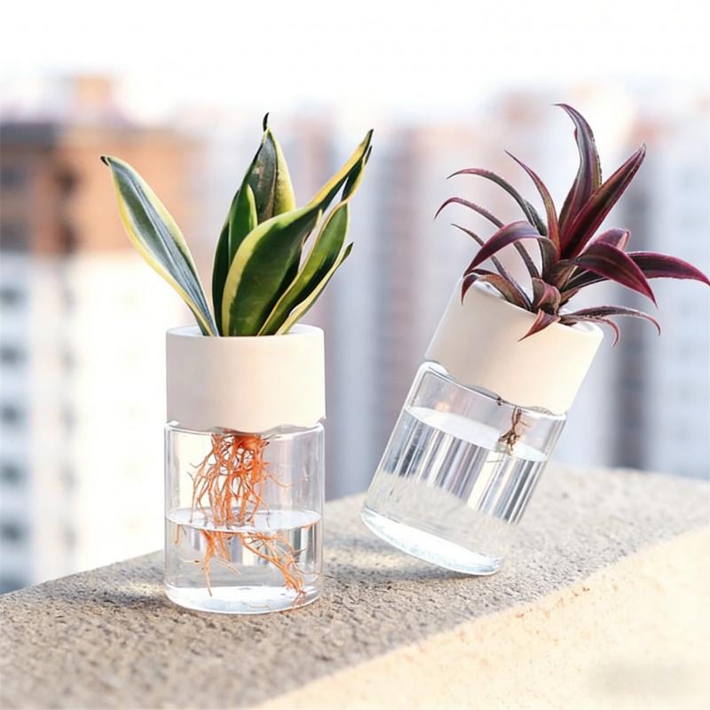Home Indoor Desktop Mini Transparent Imitation Glass Hydroponic Flower Pot Soilless Cultivation Creative Green Plant Planting De