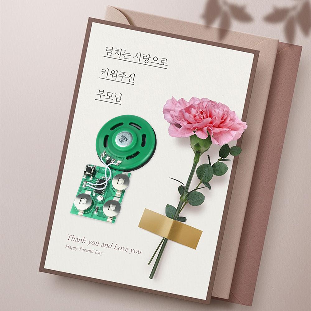 60 second DIY recording and playback board music module voice module, with battery AG10, suitable for greeting cards