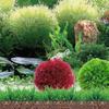2025 Artificial Aquatic Plastic Plants Aquarium Grass Ball Fish Ornament Aquarium Ornamental Chlorella Prospects Grass For Decor