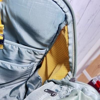 Patagonia Black Hole Pack 25L YellowCabin Gold Backpack Laptop Travel