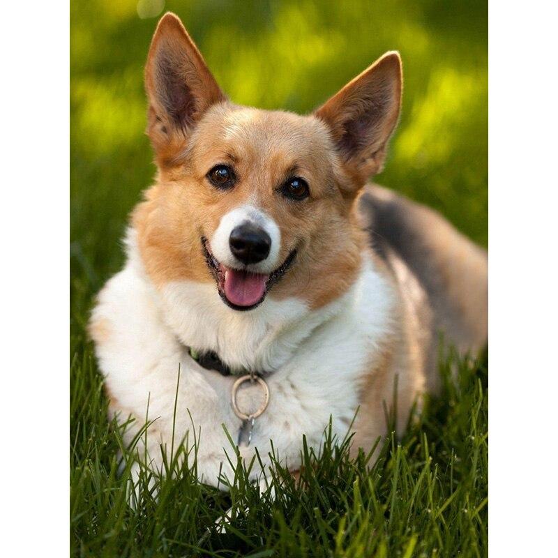 Neue 5D DIY Diamant Malerei Haustier Hund Diamant Stickerei Tier Kreuz Stich Voll Platz Runde Bohrer Handwerk Wohnkultur Manuelle geschenk