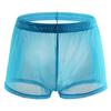 Soutong See Through Men Underpants Solid Color Mesh Yarn Mid Waist Transparent Thin Boxer Underwear for Daily Wear