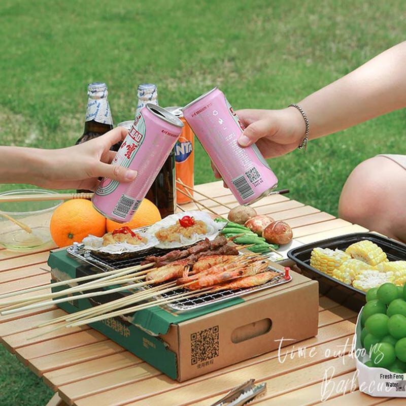 Disposable Small Outdoor/Indoor Charcoal BBQ Grill - 2 Pack