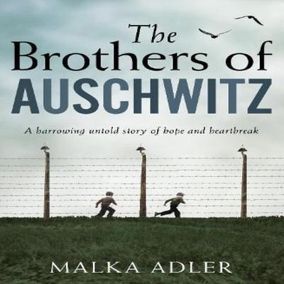 Populärwissenschaftliche Literatur – Geschichte & Politik