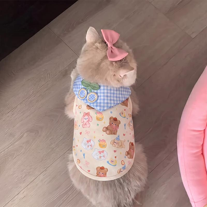 Dog clothes autumn and winter cartoon Bigbear cat Pomeranian puppet teddy small dog velvet warm pet vest