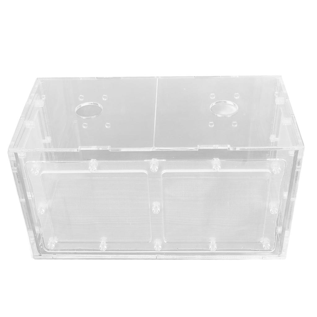 Fischzucht Isolierbox Transparente Netzseite Fischtank Inkubator für Aquarium Kleine Fische