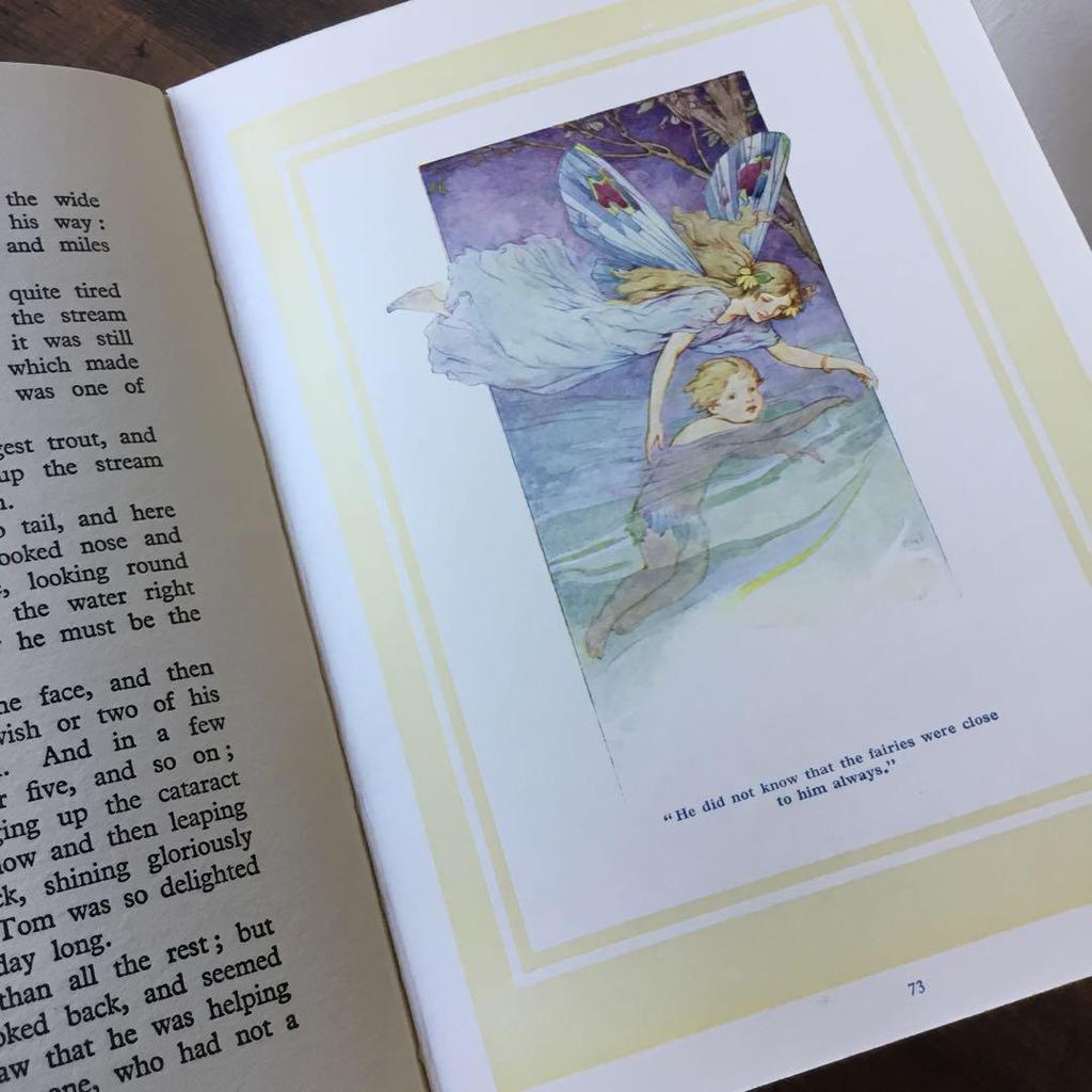 [USED] Western books, old picture books, THE WATER-BABIES, children's books