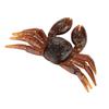 5Pcs Lot PVC Soft Lifelike Fishing Lures Crab Artificial Bait Tackle Accessories (Brown)