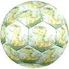 1pc Dinosaur Garden Size 5 Soccer Ball Professional Match Training Football Indoor &Outdoor Sports Ball Lightweight Durable C65157
