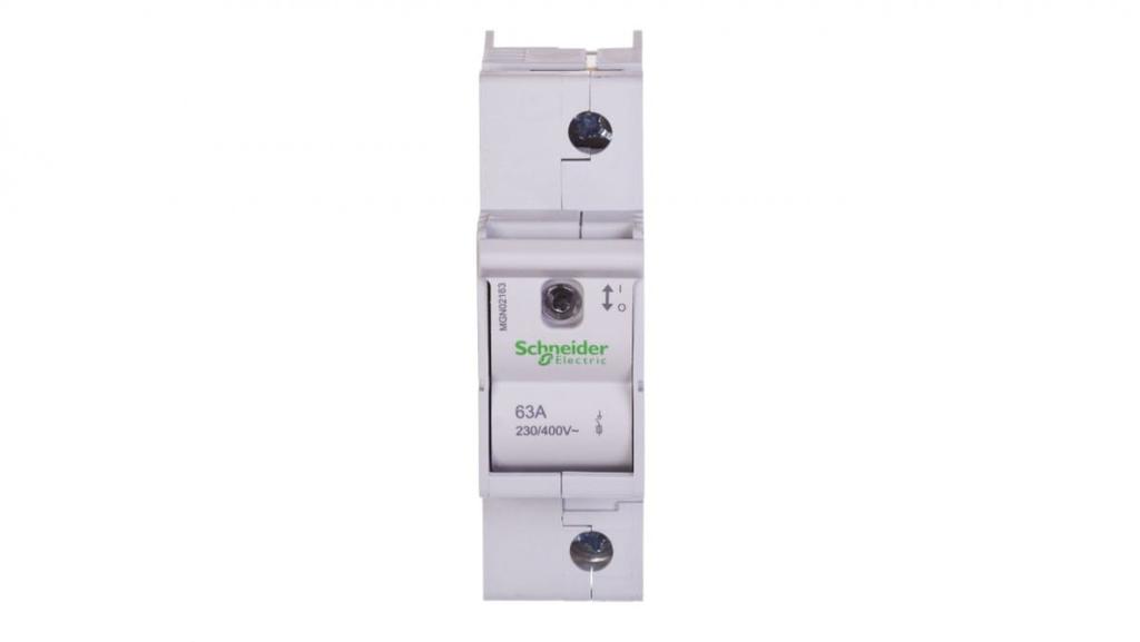 Fuse switch 1P 63A D02 MGN02163