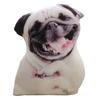 3d Simulated Dog Pillow Animal Doll Creative Doll Cute Sleeping Doll Husky Plush Toy