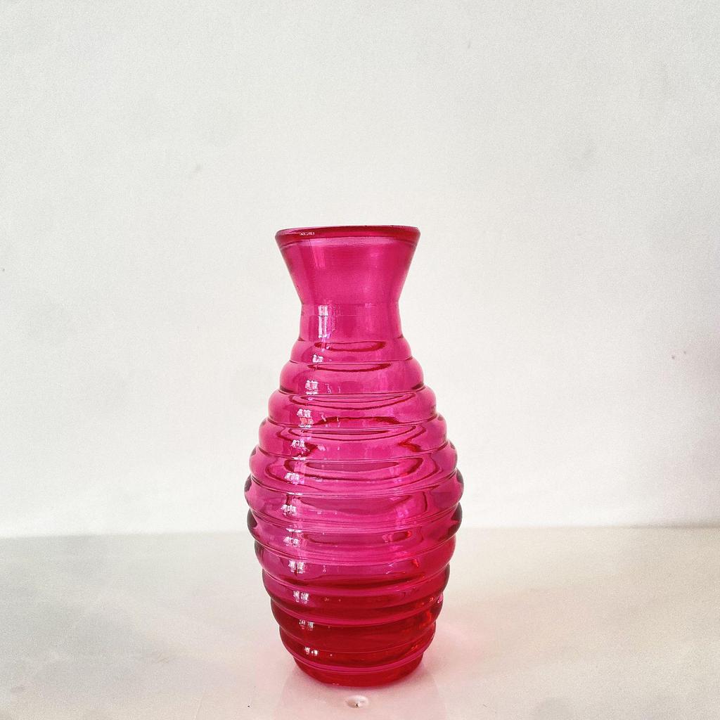 Small French Retro Glass Vase for Flowers and Hydroponics