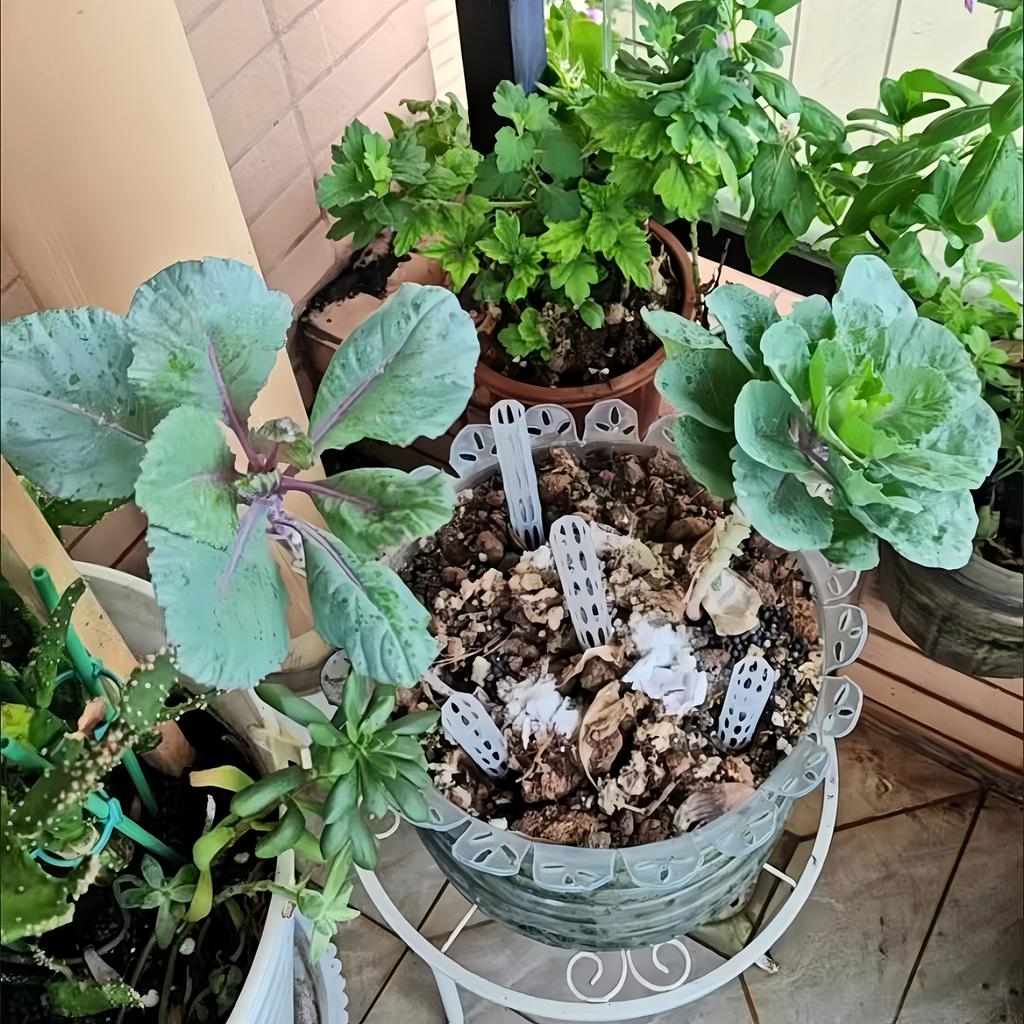 10pcs Set of Transparent Plastic Soil Air Circulation Tubes for Plants - Lightweight And Durable Plant Root Ventilation Tubes