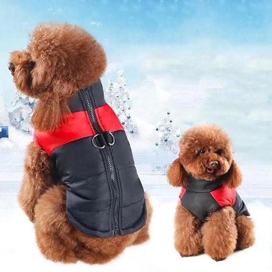 Haustier wasserdichte warme Kleidung Winter Welpe Farbnähte Reißverschluss Baumwollweste weiche lässige Oversize-Jacke Hunde-Skianzug