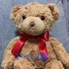 [USED] Teddy Bear, Herman, Plush Toy