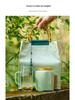 Creative Green Tea Ceramic Canister with Fresh Cloth Bag for Longjing, Maojian, Biluochun, Gyokuro - Empty Gift Packaging Box.