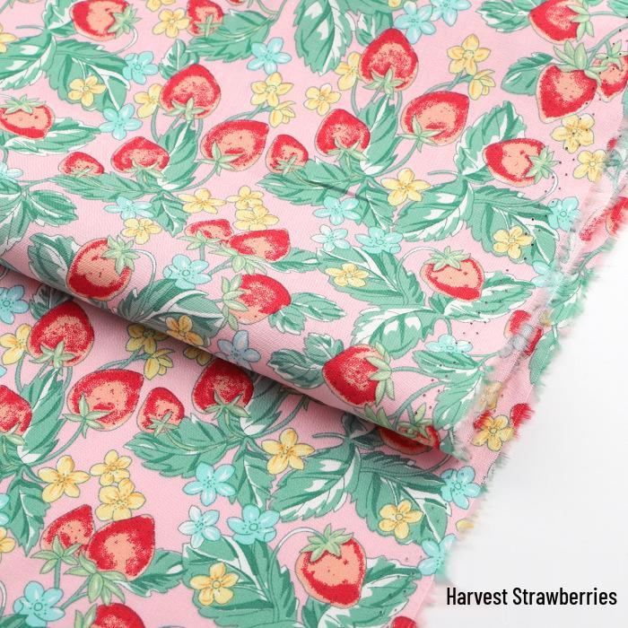 Pure Cotton Floral Poplin Fabric for Girls' Summer Dresses – Fresh Pastoral Print