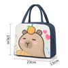 Large Capacity Insulated Lunch Bag Multicolor Cartoon Pattern Aluminum Foil Handbag Waterproof Insulated Lunch Box Bag Outdoor