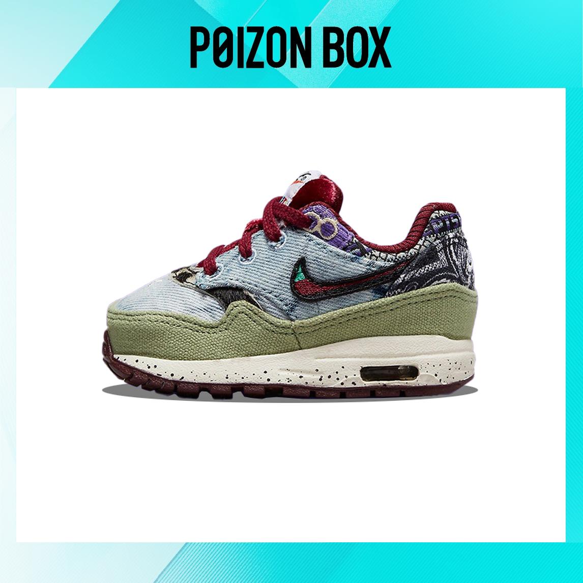 

кроссовки Nike Air Max 1 SP Concepts Mellow (TD) DR2363-300